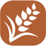 Gluten Gluten